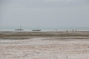 IMG_7888