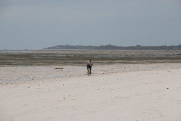 IMG_7887
