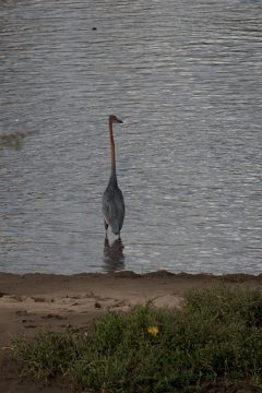 IMG_7739