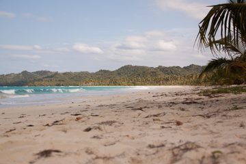 09032013-116.jpg