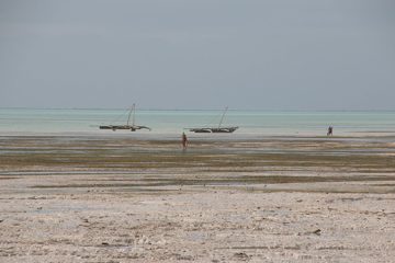 IMG_7872