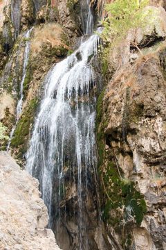 IMG_6979