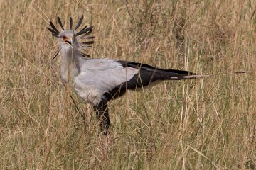IMG_7711