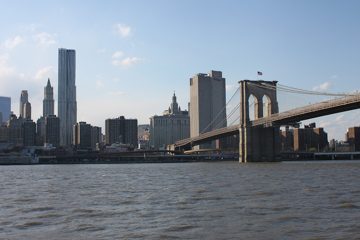IMG_1415.jpg