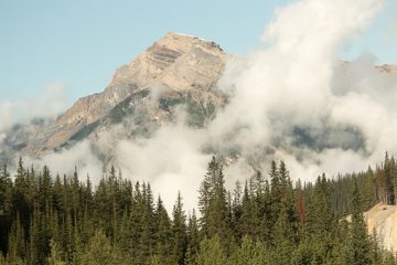 IMG_0474