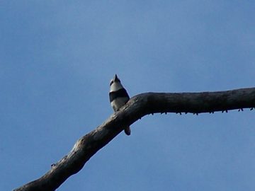 20022012-35.jpg