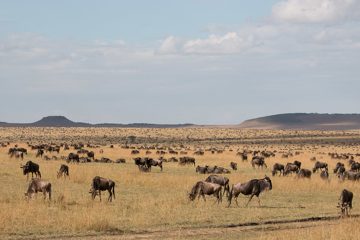 IMG_7504
