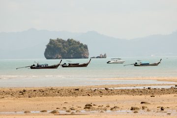 IMG_1171