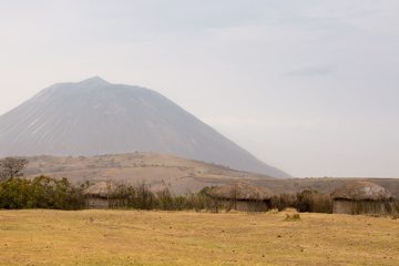 IMG_6629