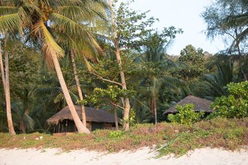 IMG_9608
