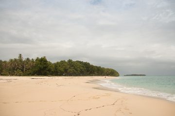 IMG_5555