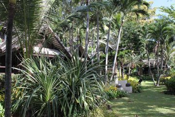 IMG_0803.jpg
