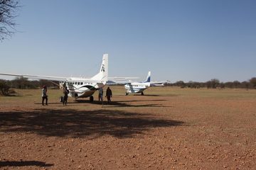 P-IMG_7019-2