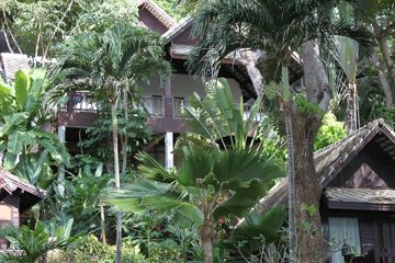 IMG_0713.jpg