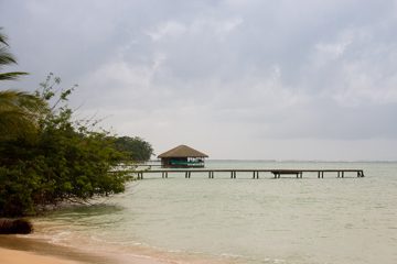 IMG_5446