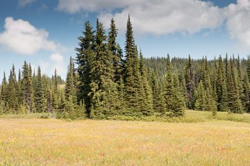 IMG_9909