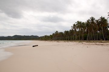 09032013-86.jpg