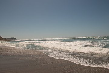 IMG_8909
