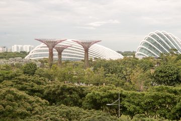 IMG_9747