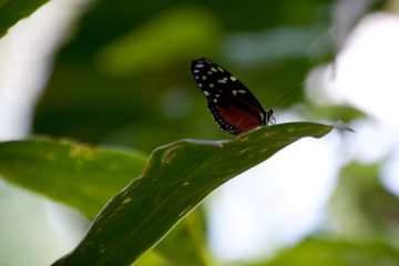 19022012-48.jpg