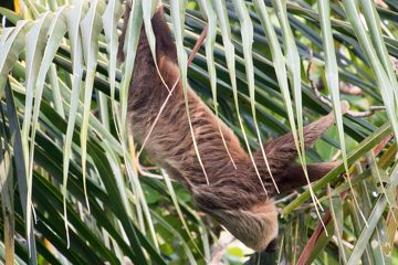 IMG_5375