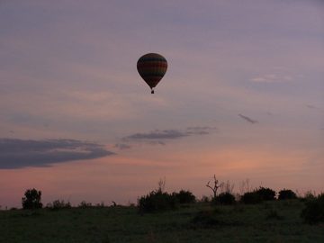 100_1496.jpg