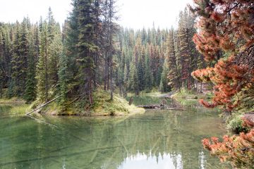 IMG_0046