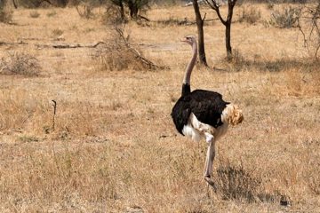 IMG_6103