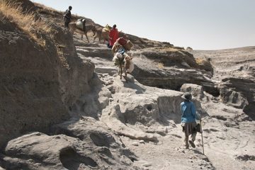 IMG_6770