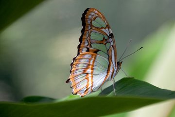 19022012-36.jpg