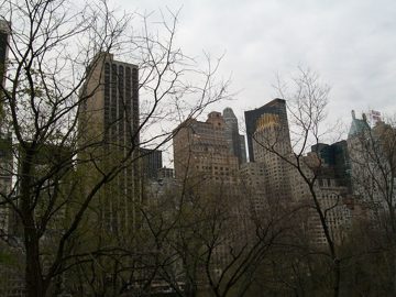100_0487.jpg