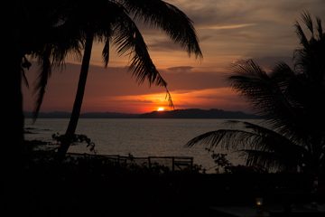 IMG_9661