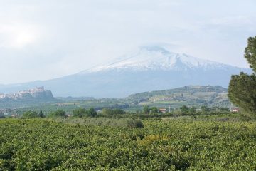 100_2182.jpg