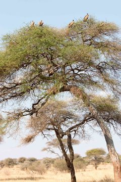 IMG_6193
