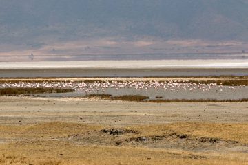 IMG_6256