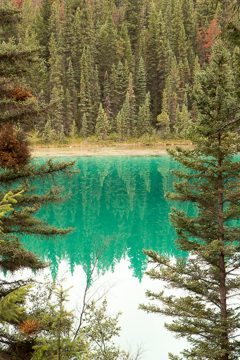 IMG_0079