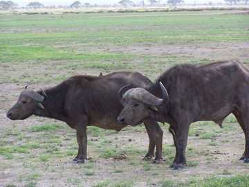 100_1161.jpg