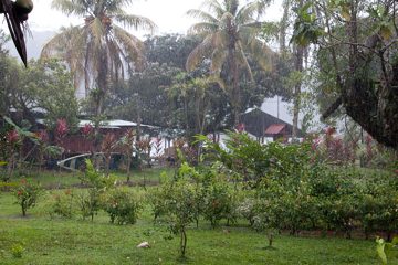 20022012-152.jpg