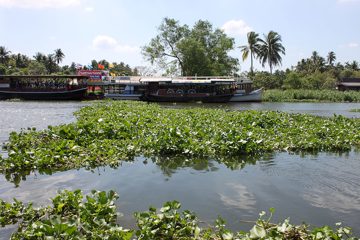 IMG_0324.jpg