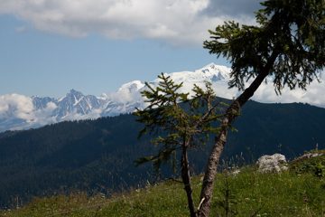 14082013-227.jpg