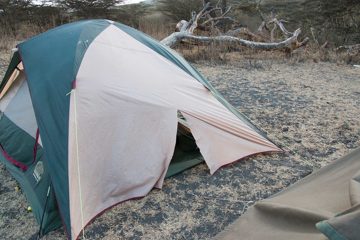 IMG_6677