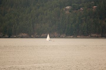 IMG_0629