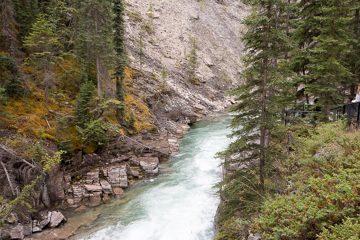 IMG_0022