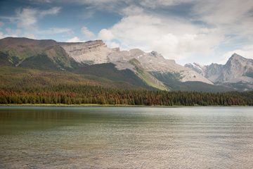 IMG_0039