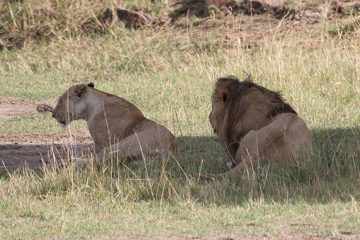 IMG_7505