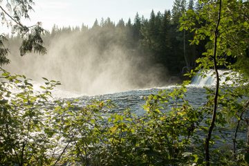 IMG_9968