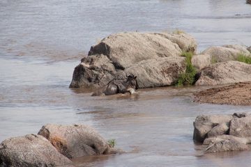 P-IMG_6880-2