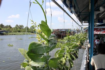 IMG_0310.jpg