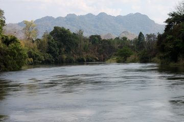 IMG_0417.jpg