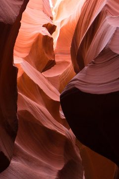 25042016-1094